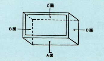 A.B.C.D面の図